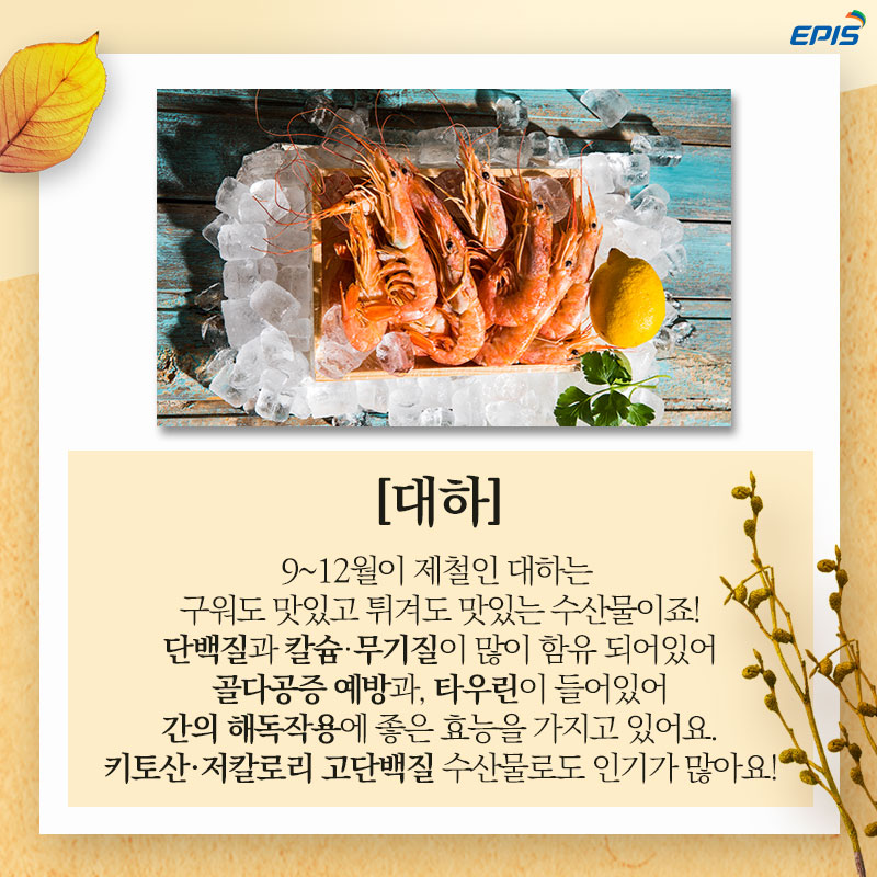 9월제철3.jpg