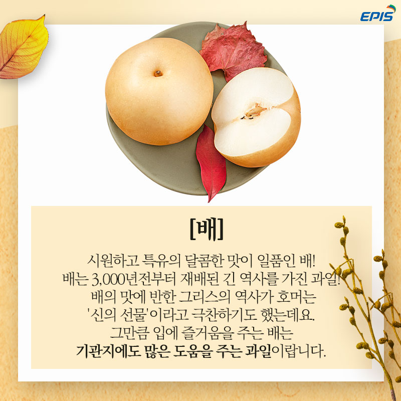 9월제철5.jpg