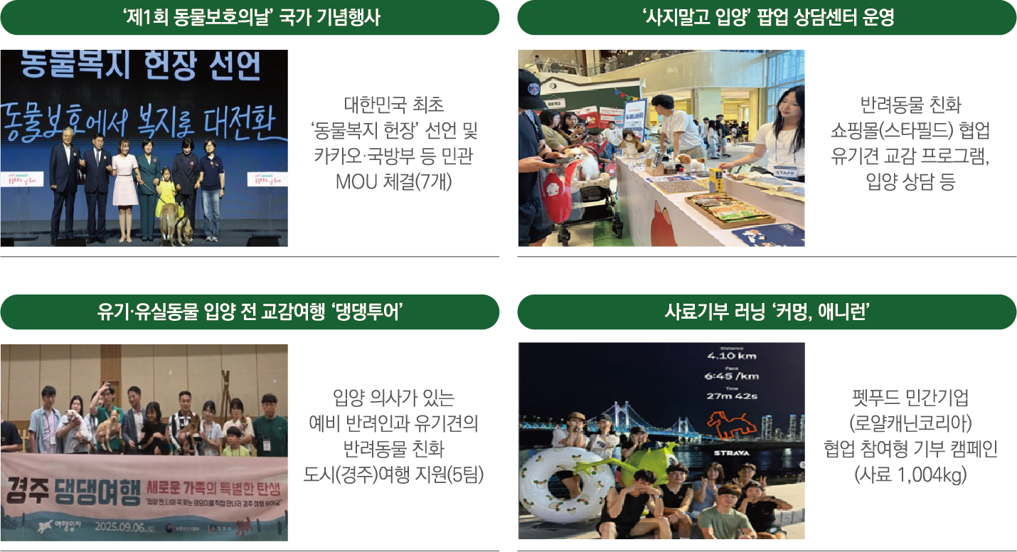 동물보호 주요 사업 현황: 제1회 동물보호의날 국가 기념행사 - 대한민국 최초 동물복지 헌장 선언 및 카카오·국방부 등 민관 MOU 체결(7개), 동물복지 현장 선언 및 동물보호에서 복지로 대전환 행사 현장 사진. 사지말고 입양 팝업 상담센터 운영 - 반려동물 친화 쇼핑몰(스타필드) 협업 유기견 교감 프로그램 및 입양 상담 등 진행, 팝업 상담센터 현장 사진. 유기·유실동물 입양 전 교감여행 댕댕투어 - 입양 의사가 있는 예비 반려인과 유기견의 반려동물 친화 도시(경주)여행 지원(5팀), 2025년 9월 6일 경주 댕댕여행 새로운 가족의 특별한 탄생 현장 단체 사진. 사료기부 러닝 커밍, 애니런 - 펫푸드 민간기업(로얄캐닌코리아) 협업 참여형 기부 캠페인(사료 1,004kg), 야간 러닝 참여자 단체 사진(4.10km, 6:45/km, 27m 42s 기록)