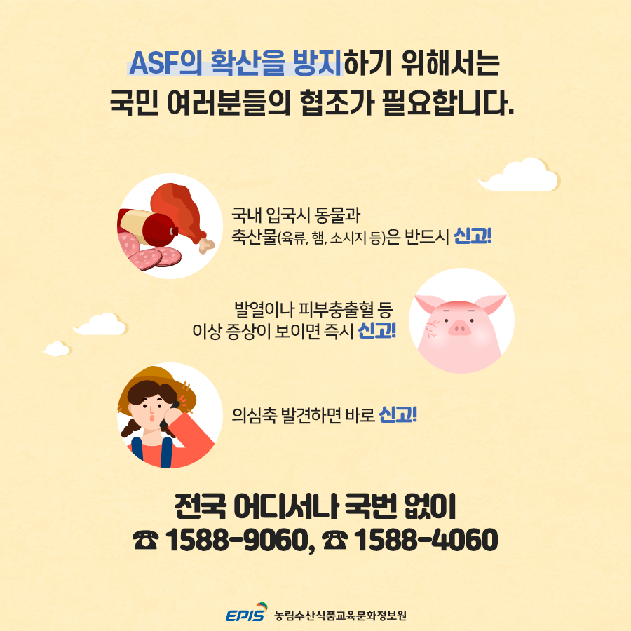 ASF의 확산을 방지하기 위해서는 국민 여러분들의 협조가 필요합니다. 국내 입국시 동물과 축산물은 반드시 신고! 발열이나 피부충출혈 등 이상 증상이 보이면 즉시 신고! 의심축 발견하면 바로 신고! 전국 어디서나 국번없이 1588-9060, 1588-4060. -농림수산식품교육문화정보원